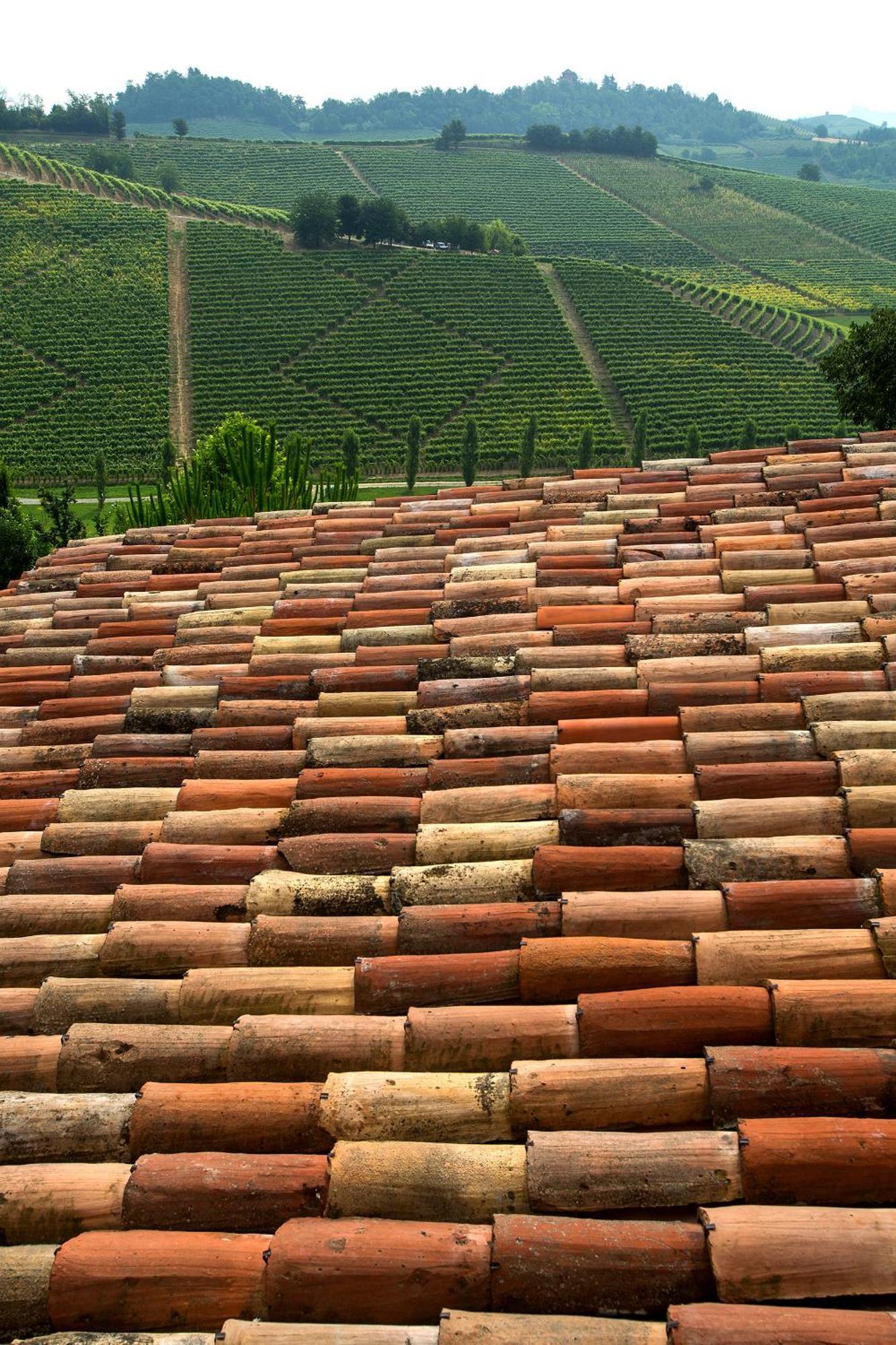 Relais Di Tenuta Santa Caterina B&B Grazzano Badoglio 部屋 写真