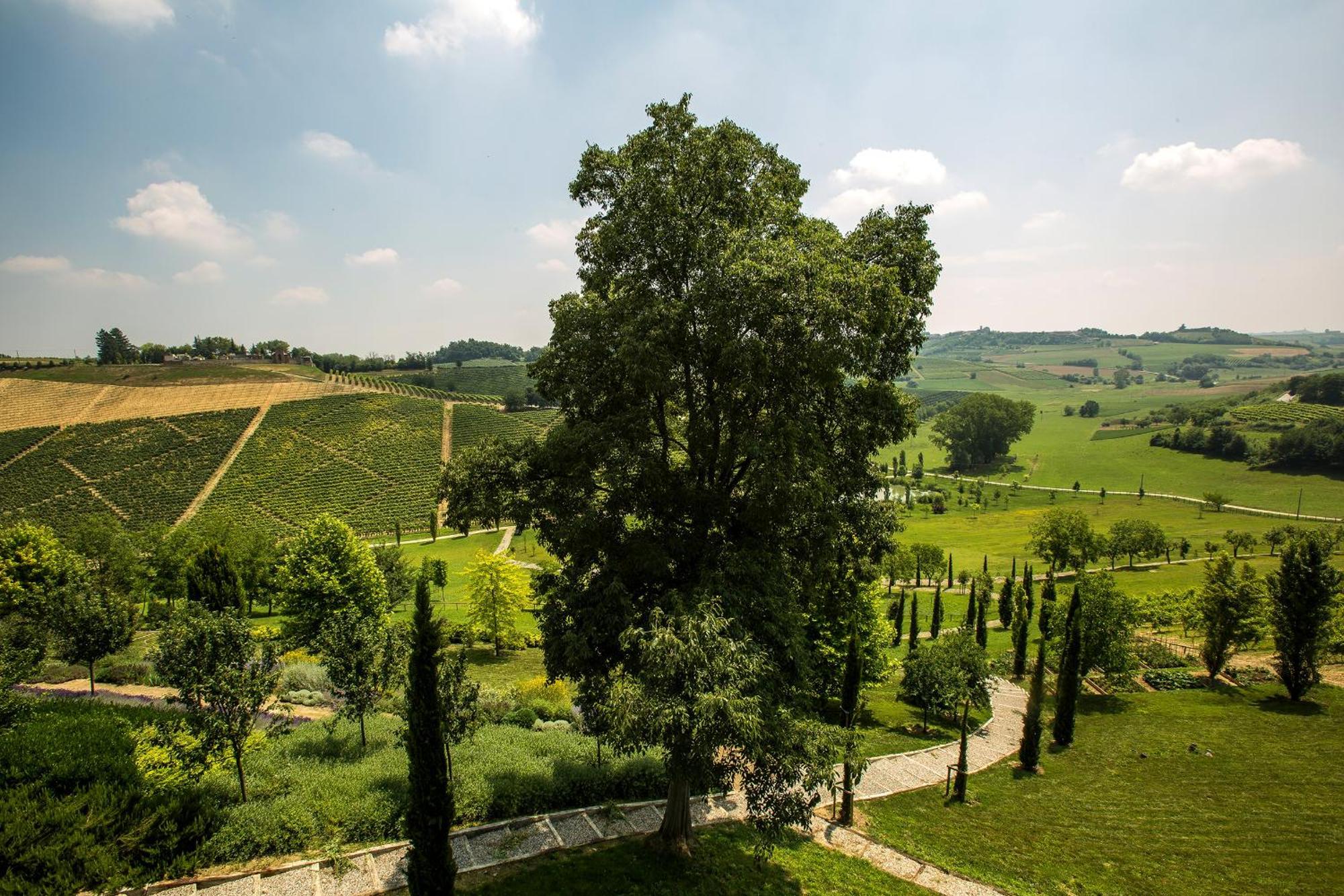 Relais Di Tenuta Santa Caterina B&B Grazzano Badoglio 部屋 写真