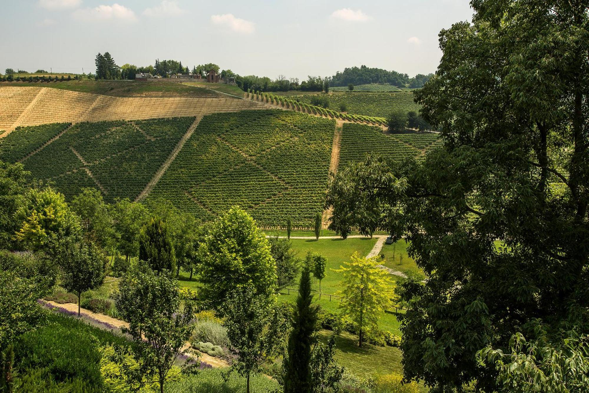 Relais Di Tenuta Santa Caterina B&B Grazzano Badoglio 部屋 写真
